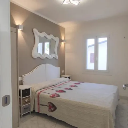 Miami * ביביונה