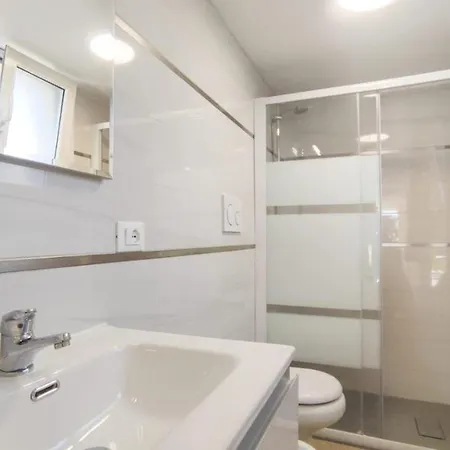 Miami ביביונה